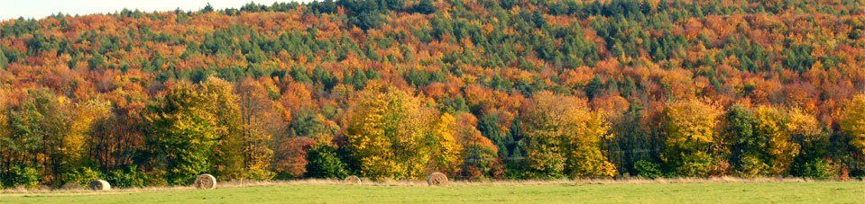 Blick auf Oberelbert aus der Umgebung